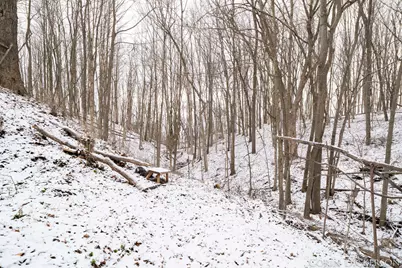 5210 Bluewater Highway, Saranac, MI 48881 - Photo 37