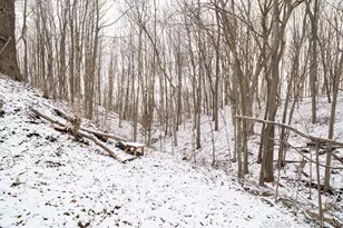 5210 Bluewater Hwy, Saranac, MI 48881 - Photo 37