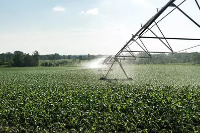 [Address not provided], Grant, MI 49327 - Photo 59