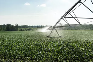 [Address not provided], Grant, MI 49327 - Photo 59