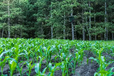 [Address not provided], Grant, MI 49327 - Photo 47