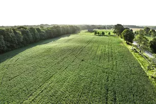 [Address not provided], Grant, MI 49327 - Photo 43