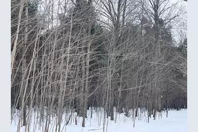 Vl 17 9 Mile Road, Kaleva, MI 49645 - Photo 17