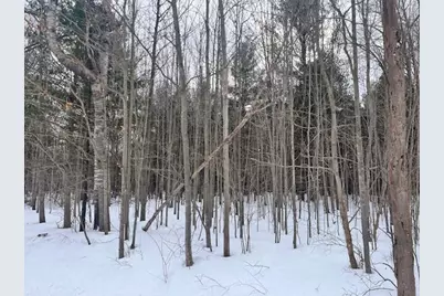 Vl 17 9 Mile Road, Kaleva, MI 49645 - Photo 13