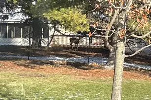 3106 Chamberlain Ave SE, Grand Rapids, MI 49508 - Photo 45