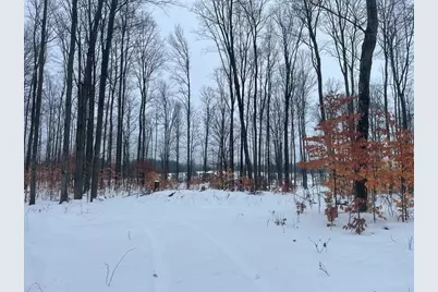 20350 Lindy Road, Copemish, MI 49625 - Photo 7