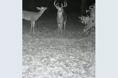 20350 Lindy Road, Copemish, MI 49625 - Photo 15