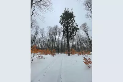 20350 Lindy Road, Copemish, MI 49625 - Photo 11