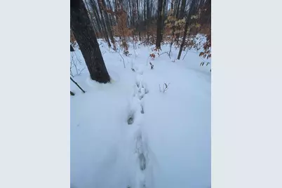 20350 Lindy Road, Copemish, MI 49625 - Photo 9