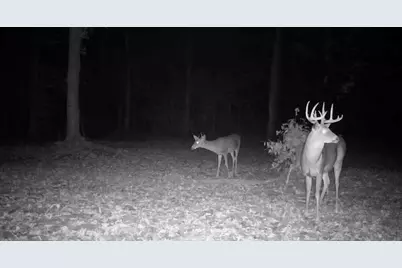 20350 Lindy Road, Copemish, MI 49625 - Photo 17