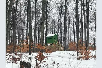 20350 Lindy Road, Copemish, MI 49625 - Photo 1