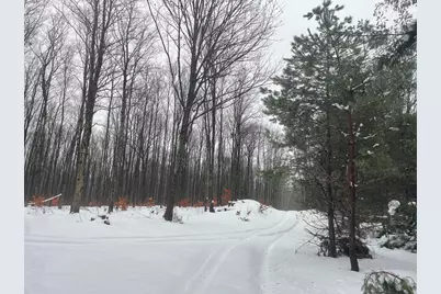 20350 Lindy Road, Copemish, MI 49625 - Photo 13