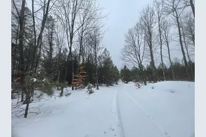 20350 Lindy Road, Copemish, MI 49625 - Photo 5