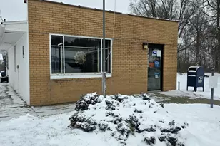 3018 Palmer Rd, Orleans, MI 48865 - Photo 1