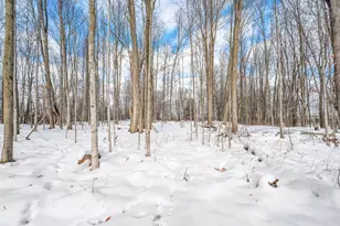 16688 Canyon Cv, Big Rapids, MI 49307 - Photo 35