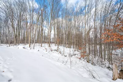 16688 Canyon Cove, Big Rapids, MI 49307 - Photo 11