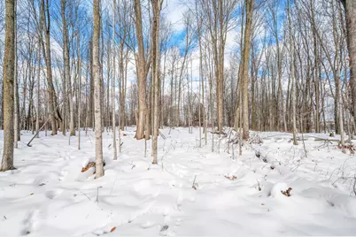 16688 Canyon Cove, Big Rapids, MI 49307 - Photo 9