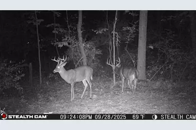 6771 Juneview Court NE, Rockford, MI 49341 - Photo 55