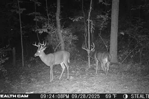 6771 Juneview Ct NE, Rockford, MI 49341 - Photo 55