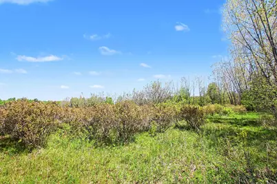 61199 County Road 380, Bangor, MI 49013 - Photo 3