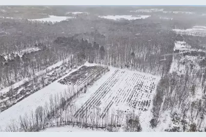 61199 County Road 380, Bangor, MI 49013 - Photo 7