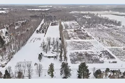 61199 County Road 380, Bangor, MI 49013 - Photo 11