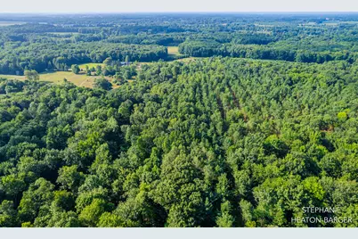 10365 E Klees Road, Crystal, MI 48818 - Photo 15