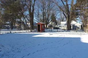 141 Sheldon St, Climax, MI 49034 - Photo 19