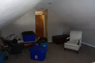 141 Sheldon St, Climax, MI 49034 - Photo 13