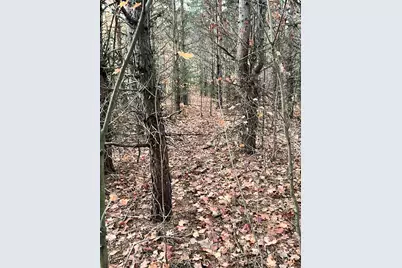 2554 Lee Derrer Road, Mancelona, MI 49659 - Photo 19