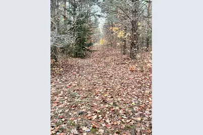 2554 Lee Derrer Road, Mancelona, MI 49659 - Photo 21