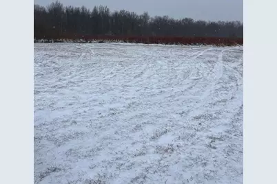 6892 56th Street, Grand Junction, MI 49056 - Photo 3