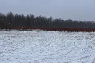 6892 56th St, Grand Junction, MI 49056 - Photo 3