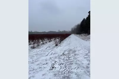 6892 56th Street, Grand Junction, MI 49056 - Photo 5