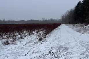 6892 56th St, Grand Junction, MI 49056 - Photo 5