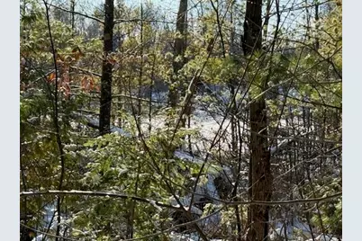 30 E Stanton Road, Stanton, MI 48888 - Photo 5