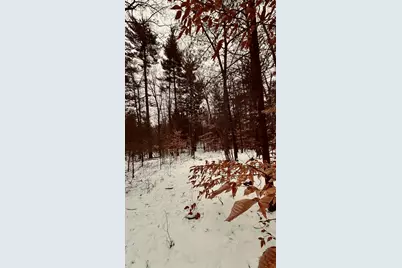 30 E Stanton Road, Stanton, MI 48888 - Photo 25