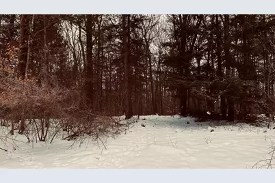 30 E Stanton Road, Stanton, MI 48888 - Photo 21