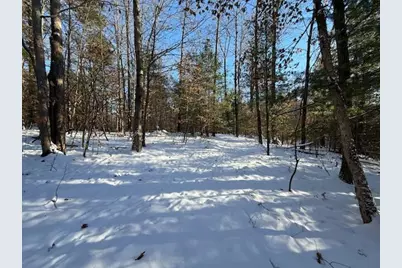 30 E Stanton Road, Stanton, MI 48888 - Photo 11