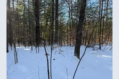 30 E Stanton Road, Stanton, MI 48888 - Photo 9