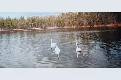 30 E Stanton Road, Stanton, MI 48888 - Photo 3