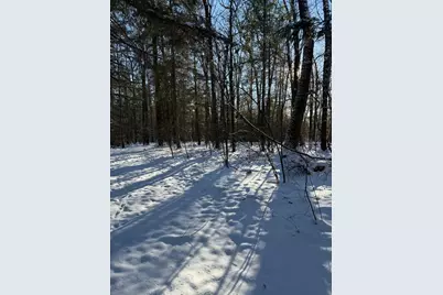 30 E Stanton Road, Stanton, MI 48888 - Photo 7