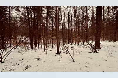 30 E Stanton Road, Stanton, MI 48888 - Photo 23