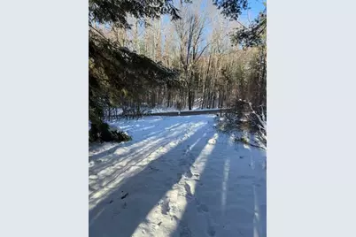 30 E Stanton Road, Stanton, MI 48888 - Photo 13