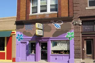 223 S Mechanic St, Jackson, MI 49201 - Photo 1