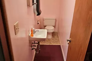 208 W Main St, Gobles, MI 49055 - Photo 11