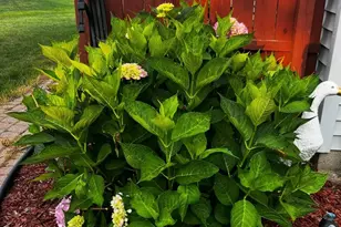 7114 Copper Creek Dr, Ypsilanti, MI 48197 - Photo 21