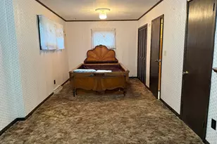 316 N Park St, Ovid, MI 48866 - Photo 31