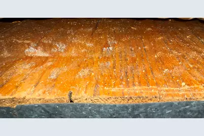 316 N Park Street, Ovid, MI 48866 - Photo 25