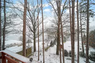 169 Pine Hill Lake Dr, Horton, MI 49246 - Photo 53